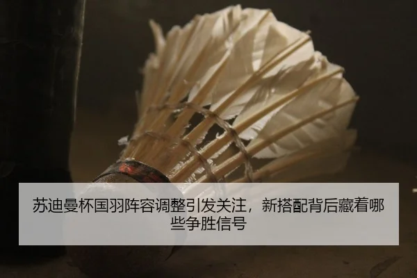 苏迪曼杯国羽阵容调整引发关注，新搭配背后藏着哪些争胜信号